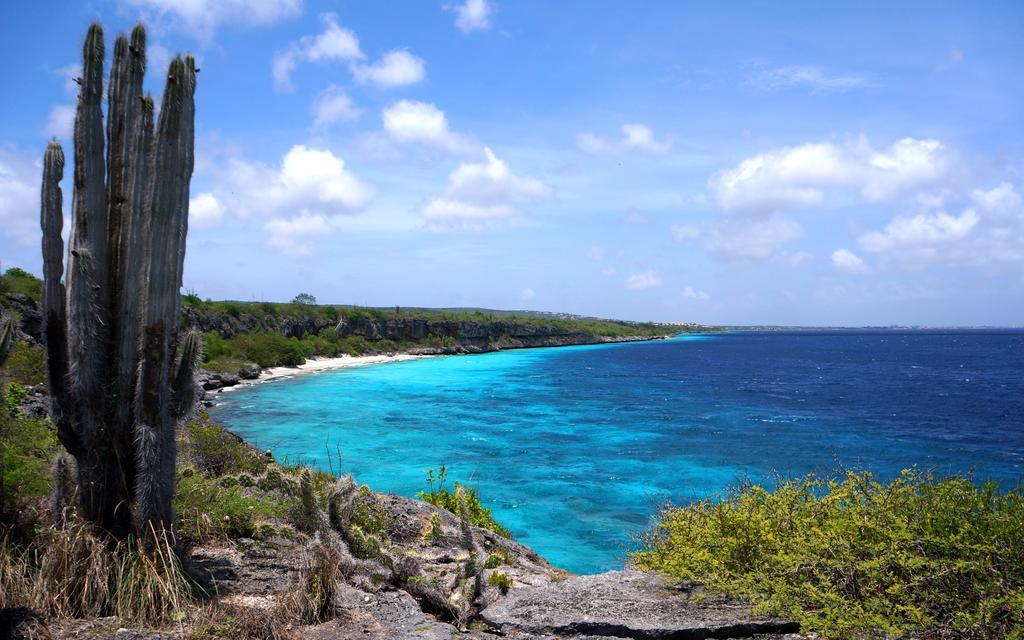 Dormio Bonaire Village 객실 사진