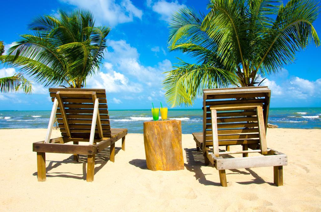 Dormio Bonaire Village 객실 사진